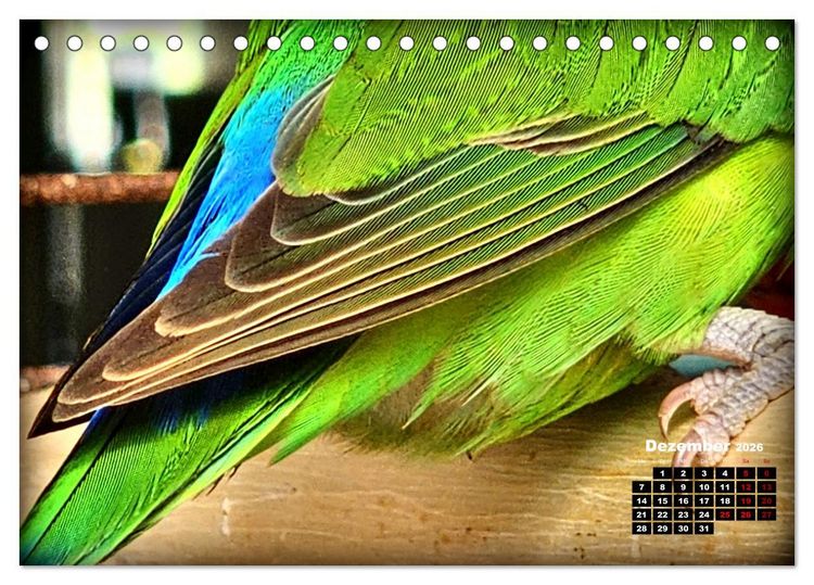 Produktbild: Die Unzertrennlichen (Tischkalender 2026 DIN A5 quer), CALVENDO Monatskalender