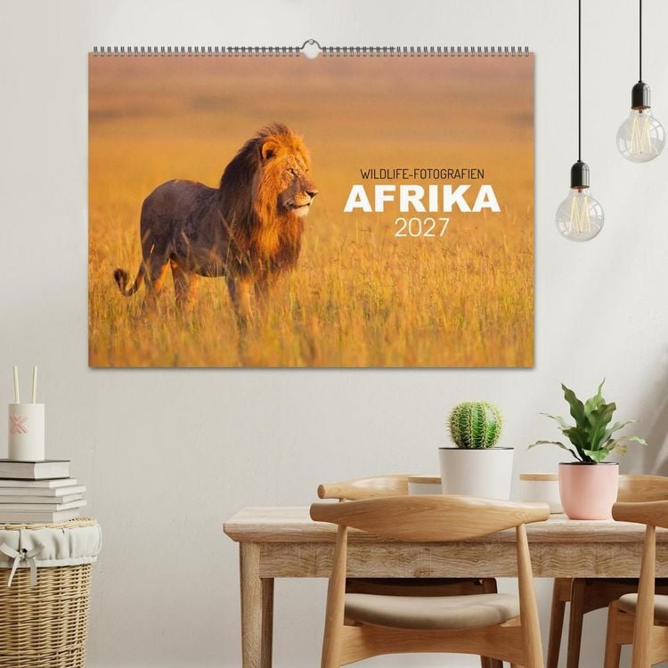 Produktbild: Afrika Wildlife-Fotografien (Wandkalender 2027 DIN A2 quer), CALVENDO Monatskalender