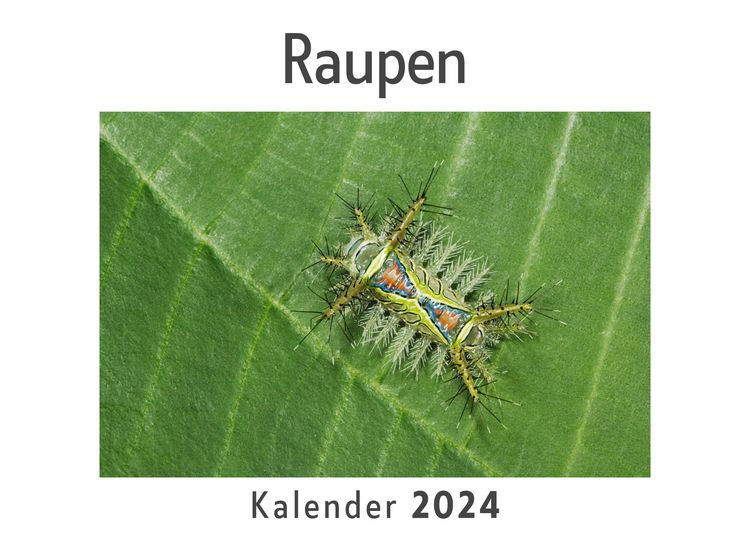 Produktbild: Raupen (Wandkalender 2024, Kalender DIN A4 quer, Monatskalender im Querformat mit Kalendarium, Das perfekte Geschenk)