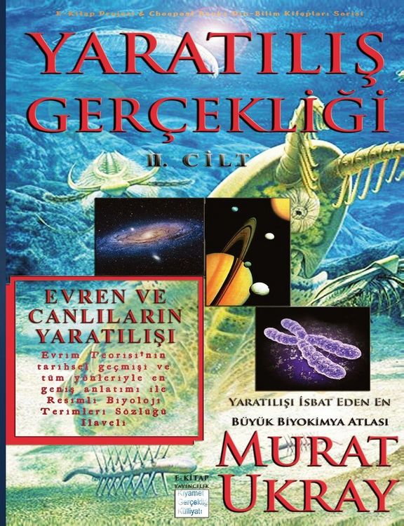 Produktbild: Yarat&iquest;l&iquest;&iquest; Ger&ccedil;ekli&iquest;i-II