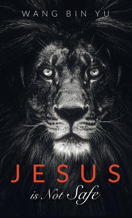 Produktbild: Jesus is Not Safe