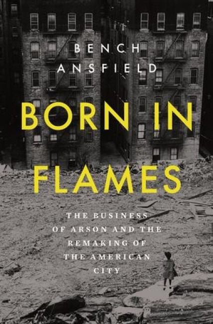 Produktbild: Born in Flames