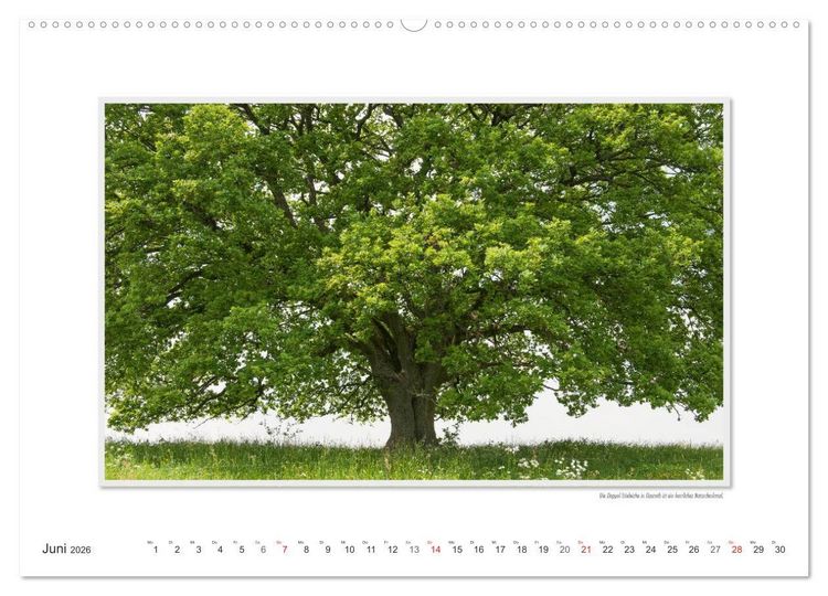 Produktbild: Emotionale Momente: Altenkirchen - der lebenswerte Landkreis im Norden des Westerwaldes. (hochwertiger Premium Wandkalender 2026 DIN A2 quer), Kunstdruck in Hochglanz