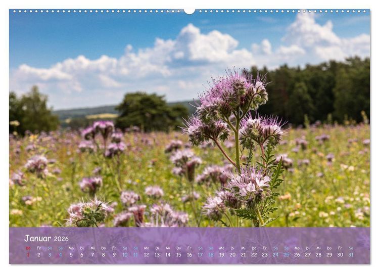 Produktbild: Im Herzen der L&uuml;neburger Heide (Wandkalender 2026 DIN A2 quer), CALVENDO Monatskalender