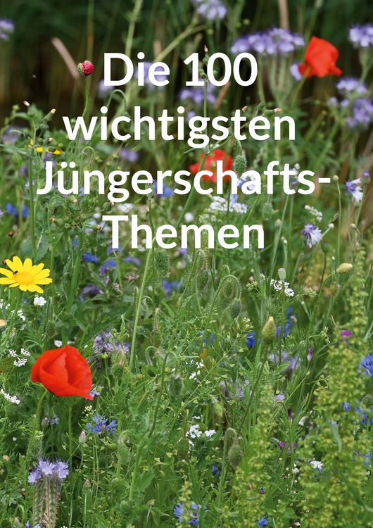 Produktbild: Die 100 wichtigsten J&uuml;ngerschaftsthemen
