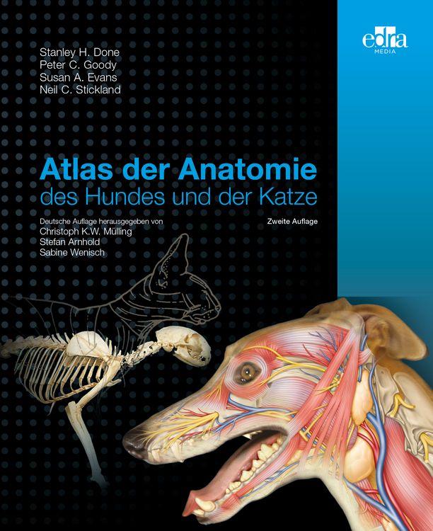 Produktbild: Atlas der Anatomie des Hundes und der Katze