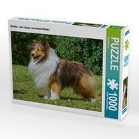 Produktbild: CALVENDO Puzzle Sheltie - ein Traum von einem R&uuml;den 1000 Teile Lege-Gr&ouml;&szlig;e 64 x 48 cm Foto-Puzzle Bild von Sigrid Starick