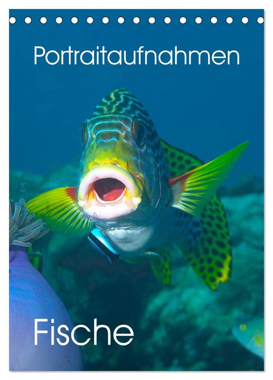 Produktbild: Portraitaufnahmen - Fische (Tischkalender 2026 DIN A5 hoch), CALVENDO Monatskalender