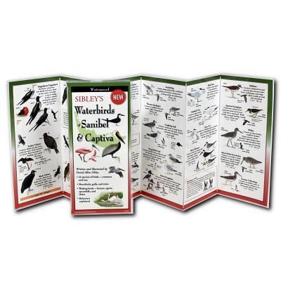 Produktbild: Sibley's Waterbirds of Sanibel & Captiva