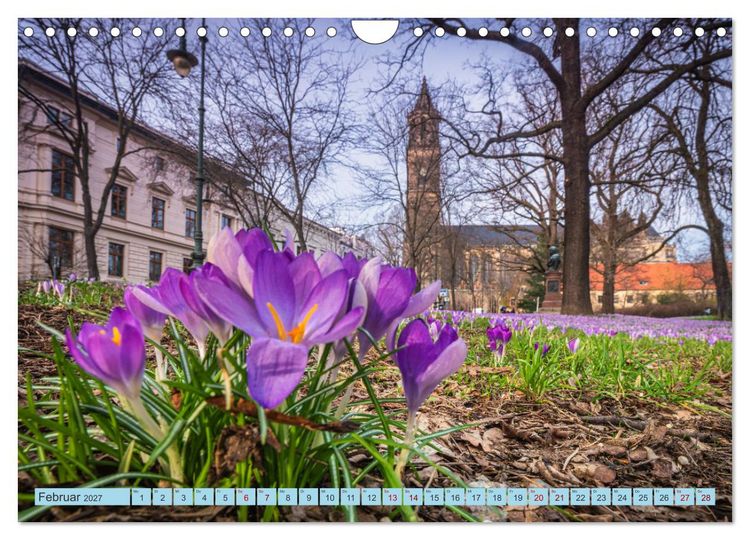Produktbild: Magdeburger Dom 2027 (Wandkalender 2027 DIN A4 quer), CALVENDO Monatskalender
