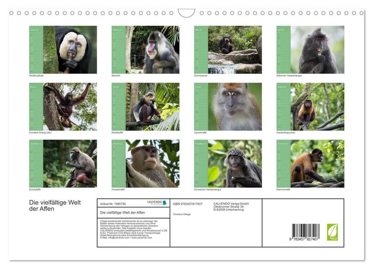 Produktbild: Die vielf&auml;ltige Welt der Affen (Wandkalender 2026 DIN A3 quer), CALVENDO Monatskalender