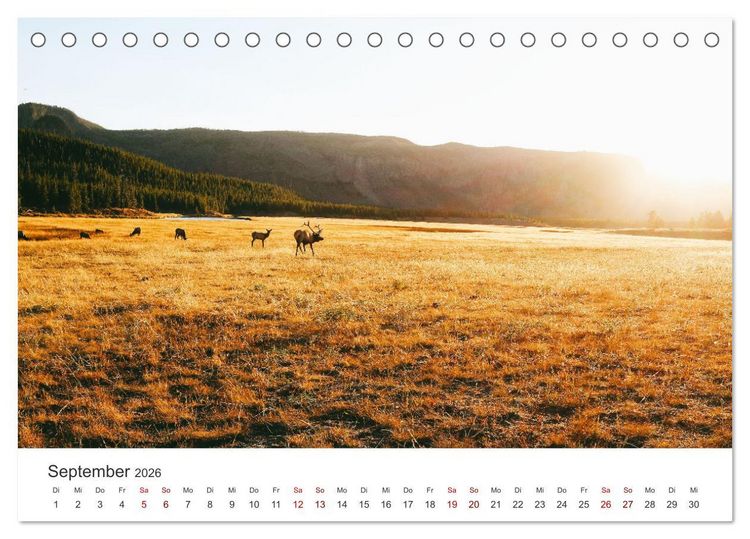 Produktbild: Yellowstone - Wie von einem anderen Stern. (Tischkalender 2026 DIN A5 quer), CALVENDO Monatskalender