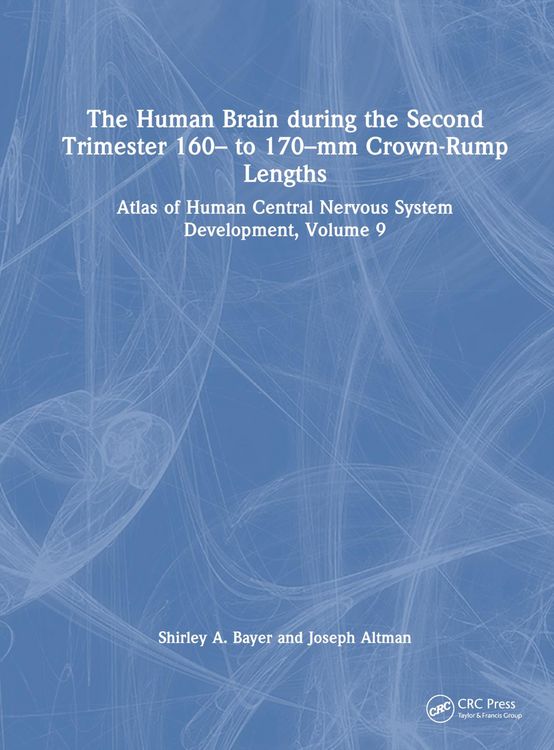 Produktbild: The Human Brain during the Second Trimester 160&ndash; to 170&ndash;mm Crown-Rump Lengths