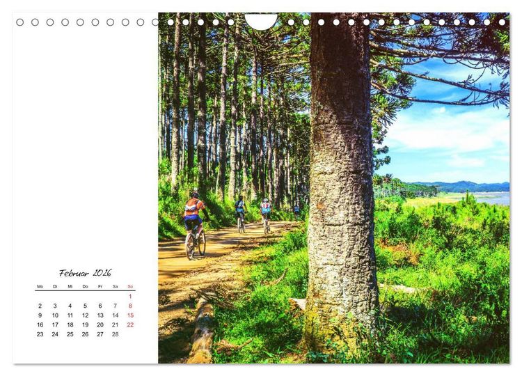 Produktbild: Fahrradtour. Radle dich frei und gesund! (Wandkalender 2026 DIN A4 quer), CALVENDO Monatskalender