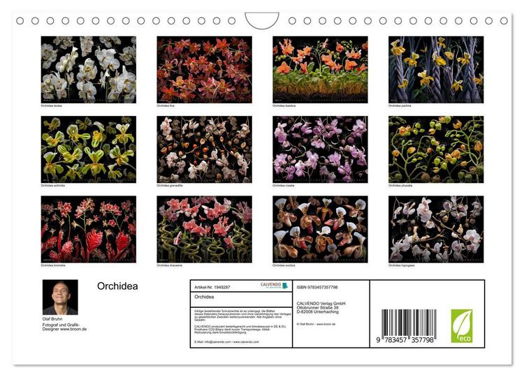 Produktbild: Orchidea (Wandkalender 2026 DIN A4 quer), CALVENDO Monatskalender