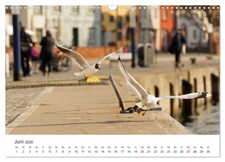 Produktbild: Unser sch&ouml;nes Wismar (Wandkalender 2026 DIN A3 quer), CALVENDO Monatskalender