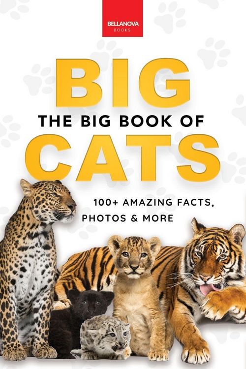 Produktbild: The Big Book of Big Cats