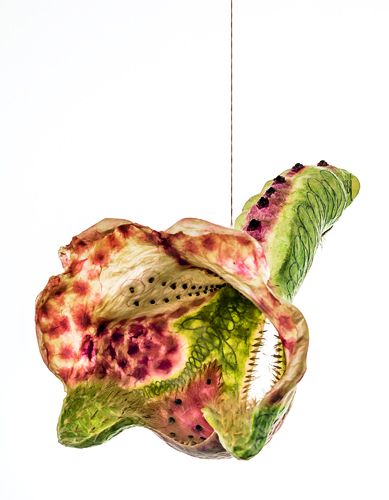 Produktbild: Alexandra Hendrikoff