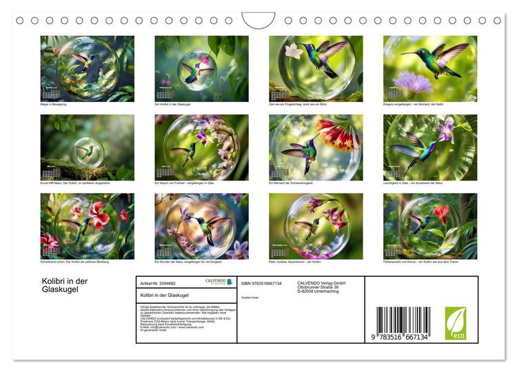 Produktbild: Kolibri in der Glaskugel (Wandkalender 2026 DIN A4 quer), CALVENDO Monatskalender