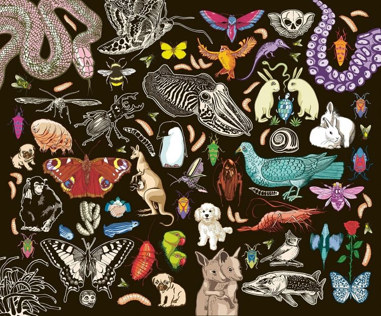 Produktbild: Kat Menschiks und des Diplom-Biologen Doctor Rerum Medicinalium Mark Beneckes Illustrirtes Thierleben