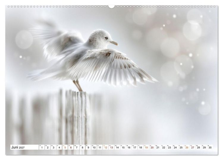 Produktbild: Lichtperlen (hochwertiger Premium Wandkalender 2027 DIN A2 quer), Kunstdruck in Hochglanz