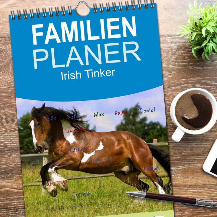 Produktbild: Familienplaner 2026 - Irish Tinker mit 5 Spalten (Wandkalender, 21 x 45 cm) CALVENDO