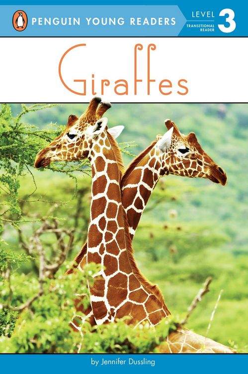 Produktbild: Giraffes