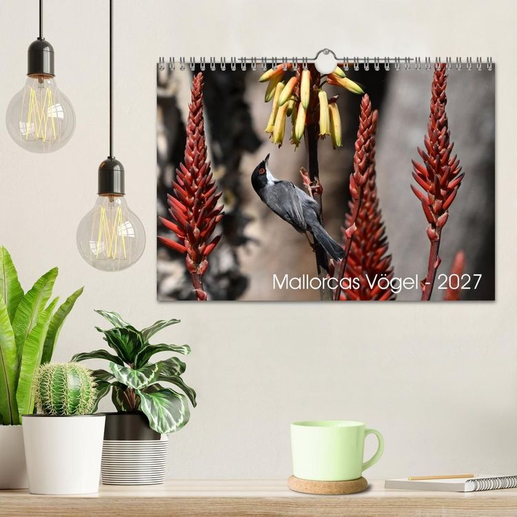 Produktbild: Mallorcas V&ouml;gel (Wandkalender 2027 DIN A4 quer), CALVENDO Monatskalender