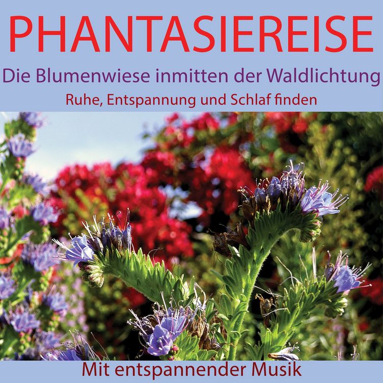Produktbild: Phantasiereise: Die Blumenwiese inmitten der Waldlichtung