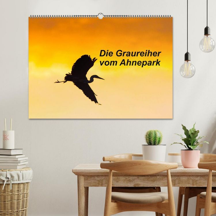 Produktbild: Die Graureiher vom Ahnepark (Wandkalender 2026 DIN A2 quer), CALVENDO Monatskalender