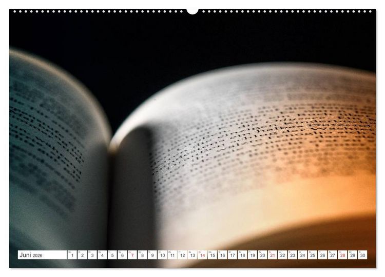 Produktbild: Ars Libri - Kunstwerk Buch (hochwertiger Premium Wandkalender 2026 DIN A2 quer), Kunstdruck in Hochglanz