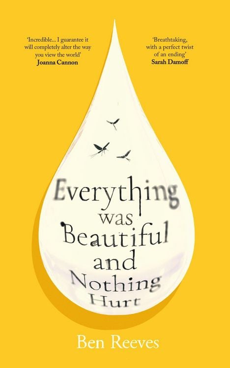 Produktbild: Everything was Beautiful and Nothing Hurt