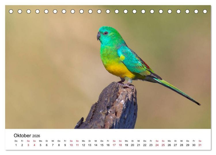 Produktbild: Australische Papageien (Tischkalender 2026 DIN A5 quer), CALVENDO Monatskalender