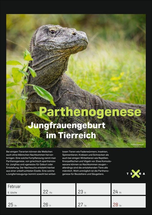 Produktbild: Terra X &ndash; Das Wunder Erde Wochenplaner 2027