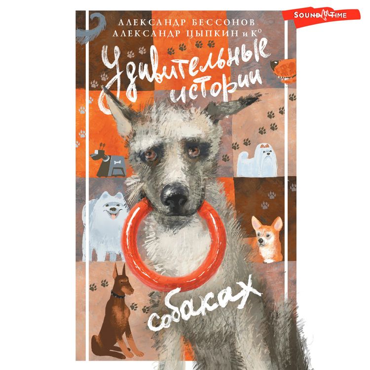 Produktbild: Udivitelnye istorii o sobakah