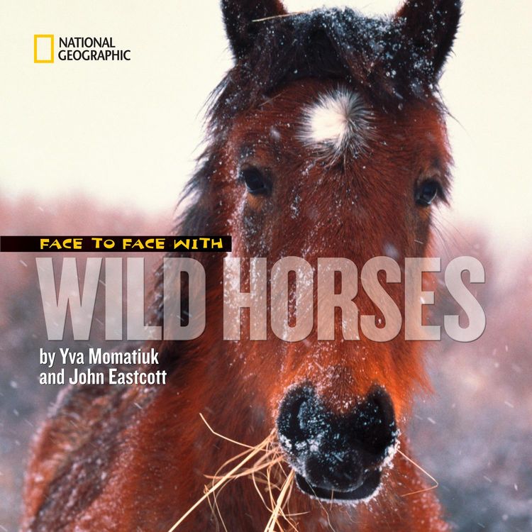 Produktbild: Face To Face W/wild Horses
