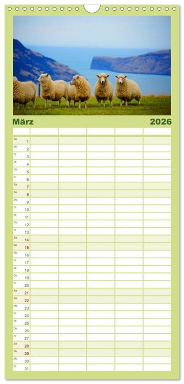Produktbild: Familienplaner 2026 - Schafe mit 5 Spalten (Wandkalender, 21 x 45 cm) CALVENDO