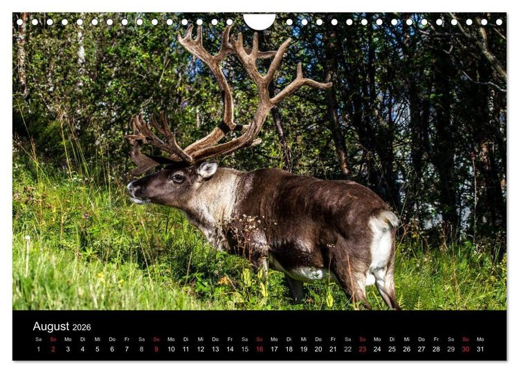 Produktbild: Erlebnis Norwegen: Narvik bis Troms&oslash; (Wandkalender 2026 DIN A4 quer), CALVENDO Monatskalender