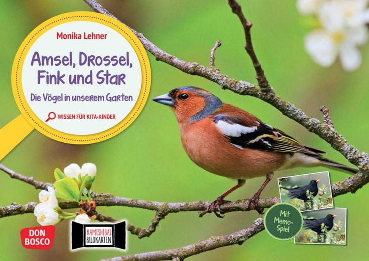 Produktbild: Amsel, Drossel, Fink und Star. Die V&ouml;gel in unserem Garten. Kamishibai Bildkarten und Memo-Spiel