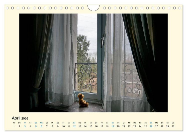 Produktbild: Herr B&auml;r urban explorer (Wandkalender 2026 DIN A4 quer), CALVENDO Monatskalender