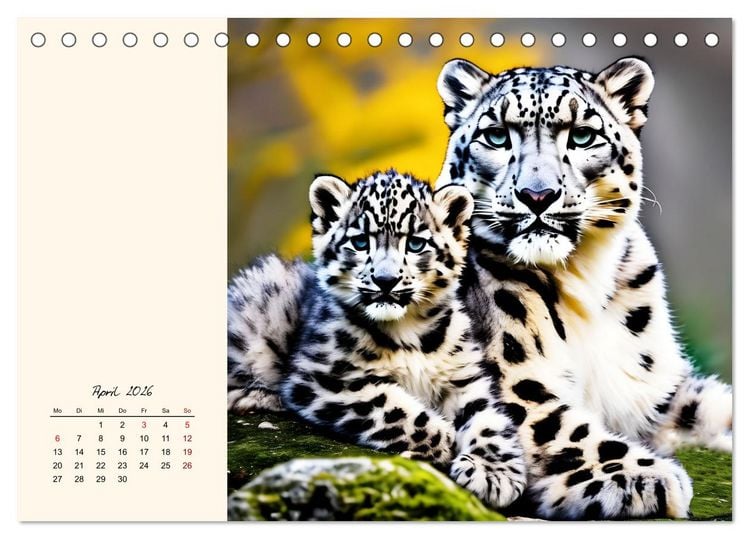 Produktbild: Im Reich der Schneeleoparden (Tischkalender 2026 DIN A5 quer), CALVENDO Monatskalender
