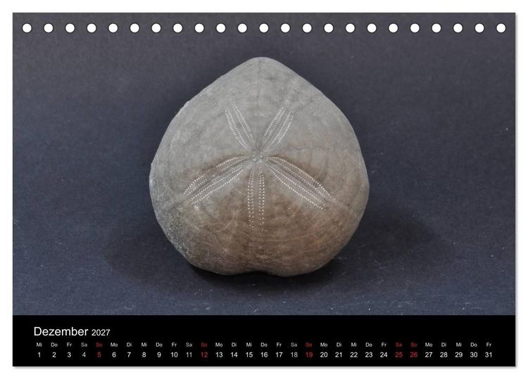 Produktbild: Fossilien - Zeugen der Urzeit (Tischkalender 2027 DIN A5 quer), CALVENDO Monatskalender