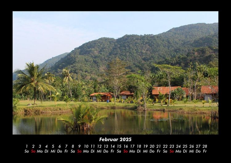 Produktbild: Pflanzen und Bl&uuml;ten 2025 Fotokalender DIN A3