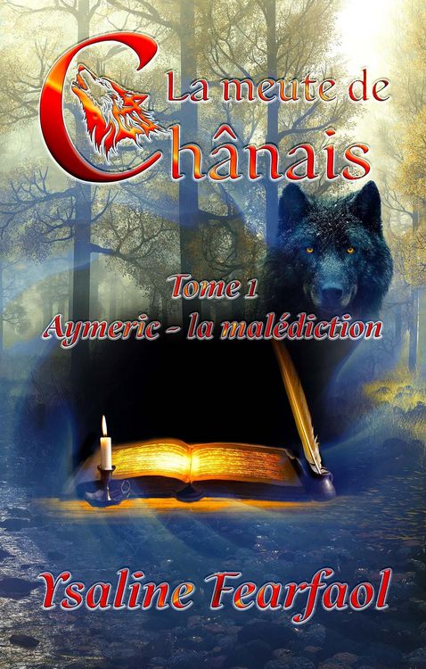 Produktbild: La meute de Ch&acirc;nais tome 1 : Aymeric - la mal&eacute;diction