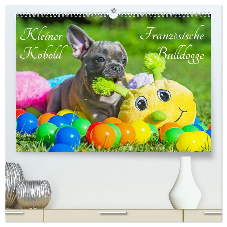 Produktbild: Kleiner Kobold Franz&ouml;sische Bulldogge (hochwertiger Premium Wandkalender 2026 DIN A2 quer), Kunstdruck in Hochglanz