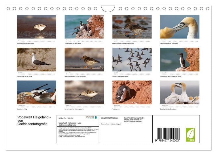 Produktbild: Vogelwelt Helgoland - von Ostfriesenfotografie (Wandkalender 2026 DIN A4 quer), CALVENDO Monatskalender
