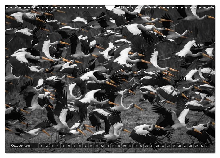 Produktbild: tanzania fine art (Wall Calendar 2026 DIN A3 landscape), CALVENDO 12 Month Wall Calendar