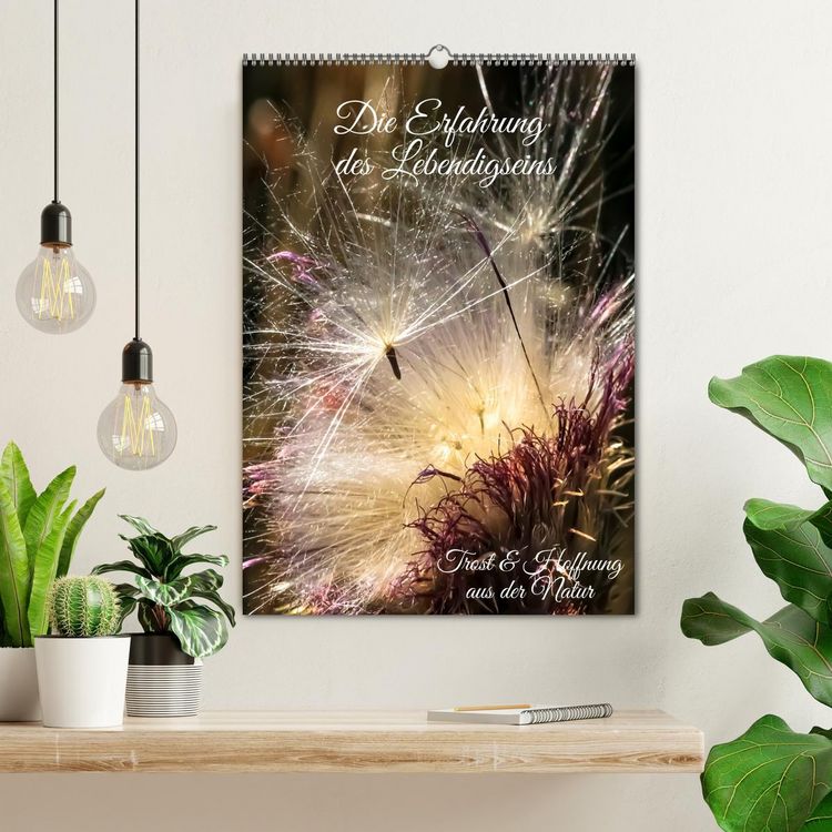 Produktbild: Die Erfahrung des Lebendigseins (Wandkalender 2026 DIN A2 hoch), CALVENDO Monatskalender