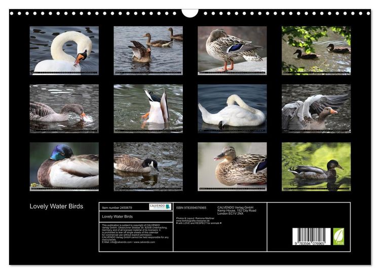 Produktbild: Lovely Water Birds (Wall Calendar 2027 DIN A3 landscape), CALVENDO 12 Month Wall Calendar