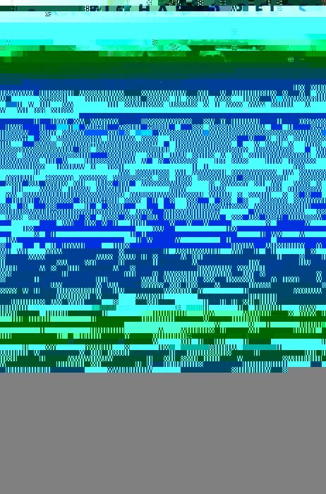 Produktbild: Modernist America
